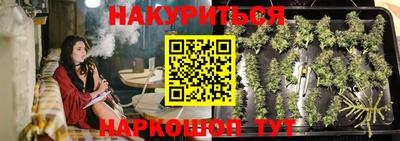 шишки Тулун