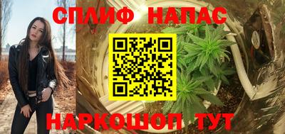шишки Тулун