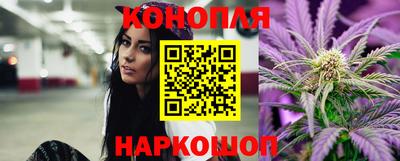 шишки Тулун