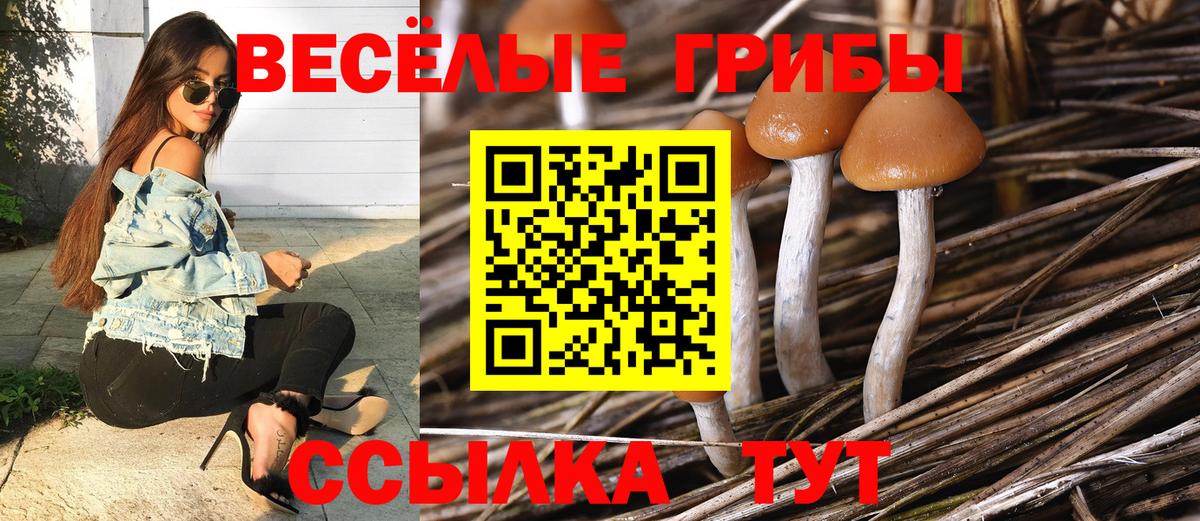 Острогожск  Галлюциногенные грибы Cubensis  как найти наркотики  Вход с VPN 
