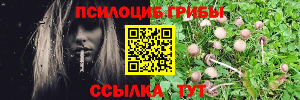 Псилоцибиновые грибы прущие грибы Острогожск